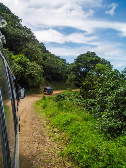 hummingbirds colibries monteverde las nuves clouds Costa Rica