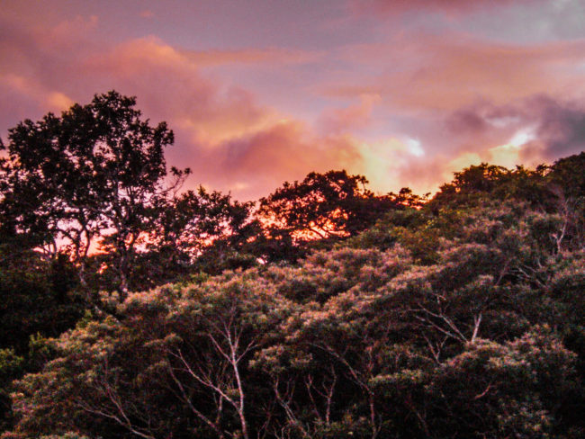 hummingbirds colibries monteverde las nuves clouds Costa Rica