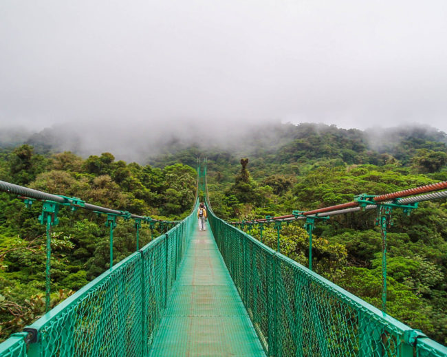 hummingbirds colibries monteverde las nuves clouds Costa Rica