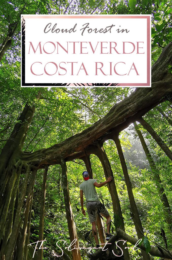 Ultimate guide to visit the Cloud Forest Biological Reserve of Monteverde in Costa Rica, South America. #travelsouthamerica #travelcentralamerica #centralamerica #costarica #nationalparks #sustainabletravel #ethicaltravel #costarica #costaricapuravida #puravida #travelguide #incredibledestinations