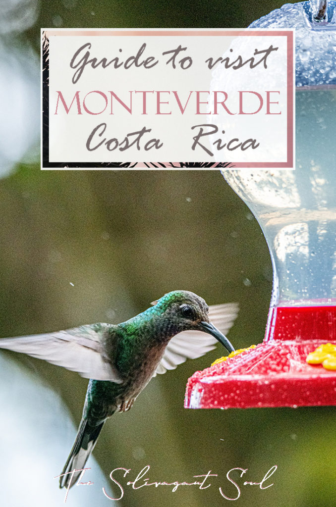 Ultimate guide to visit the Cloud Forest Biological Reserve of Monteverde in Costa Rica, South America. #travelsouthamerica #travelcentralamerica #centralamerica #costarica #nationalparks #sustainabletravel #ethicaltravel #costarica #costaricapuravida #puravida #travelguide #incredibledestinations