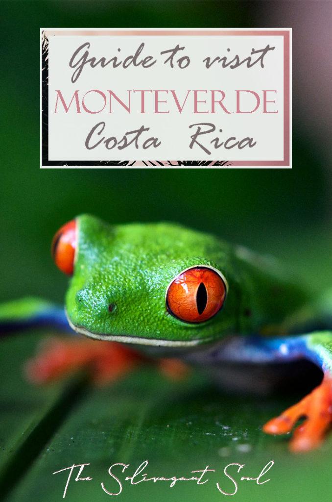 Ultimate guide to visit the Cloud Forest Biological Reserve of Monteverde in Costa Rica, South America. #travelsouthamerica #travelcentralamerica #centralamerica #costarica #nationalparks #sustainabletravel #ethicaltravel #costarica #costaricapuravida #puravida #travelguide #incredibledestinations