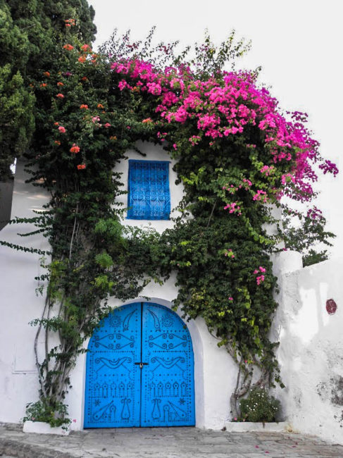 Puerta típica en Sidi Bou Said, A typical blue door in Sidi Bou Said