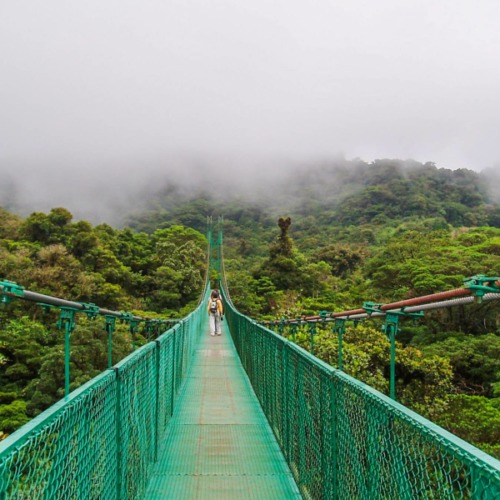 Monteverde, Walking on clouds in Costa Rica - The Solivagant Soul