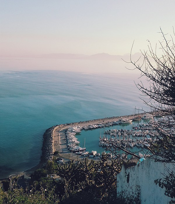 Sidi bou Said, the most known town in Tunisia - The solivagant soul