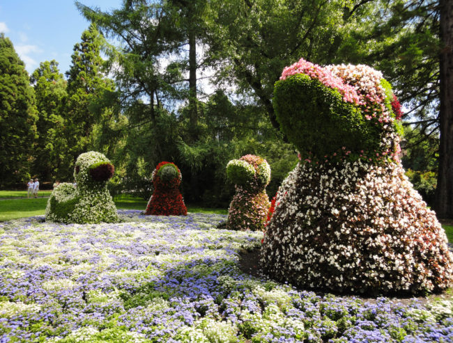 Interrail a través de Europa, Interrail through Europe