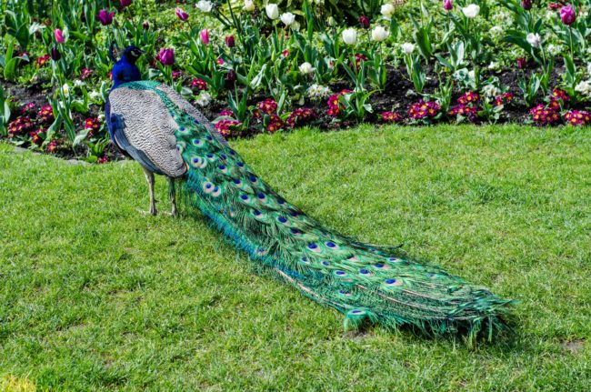 Las mejores lentes fotográficas para viajar; The best lenses for travel photography