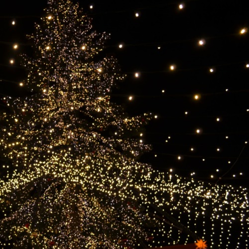 Cologne Christmas Markets - The Solivagant Soul