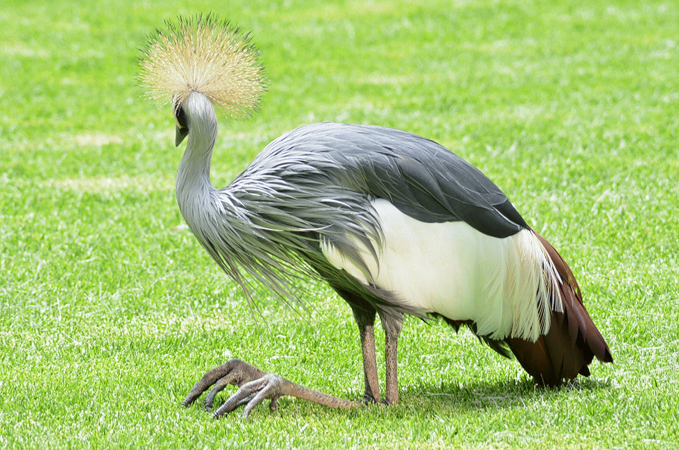 Avoiding jetlag, evitar el jet lag - The Solivagant Soul