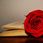 Spend Sant Jordi in Barcelona, the most romantic day of the year, the Catalan Saint Valentin - The Solivagant Soul