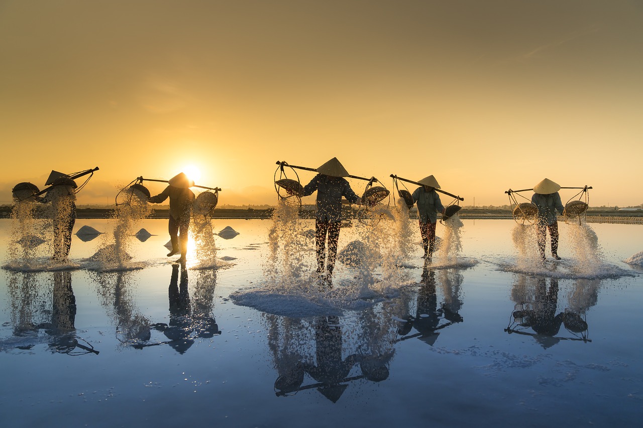 Backpacking with a camera? Backpacking usually involves bringing as little as possible, so, how to combine that with carrying a camera? In this article you will find the perfect backpacking camera! - The Solivagant Soul