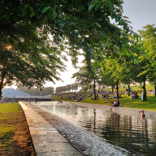 The Solivagant Soul - An Update in life