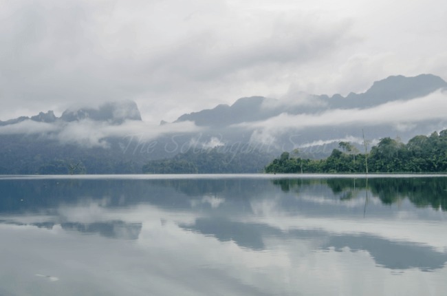 Tips and tricks on how to visit the floating cabins and bungalows in Khao Sok, Thailand. The perfect location to disconnect from society and enjoy one of the oldest rainforests in the world. The best options for Khao Sok National Park Tours! - The Solivagant Soul