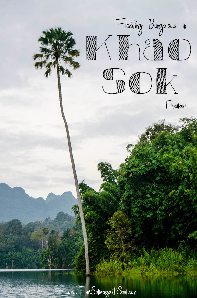 Tips and tricks on how to visit the floating cabins and bungalows in Khao Sok, Thailand. The perfect location to disconnect from society and enjoy one of the oldest rainforests in the world. The best options for Khao Sok National Park Tours! - The Solivagant Soul