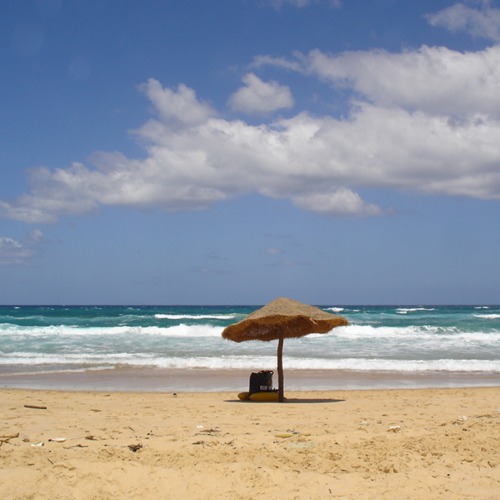 My story in Bizerte, Tunisia, and the Cockroach Rex - The Solivagant Soul