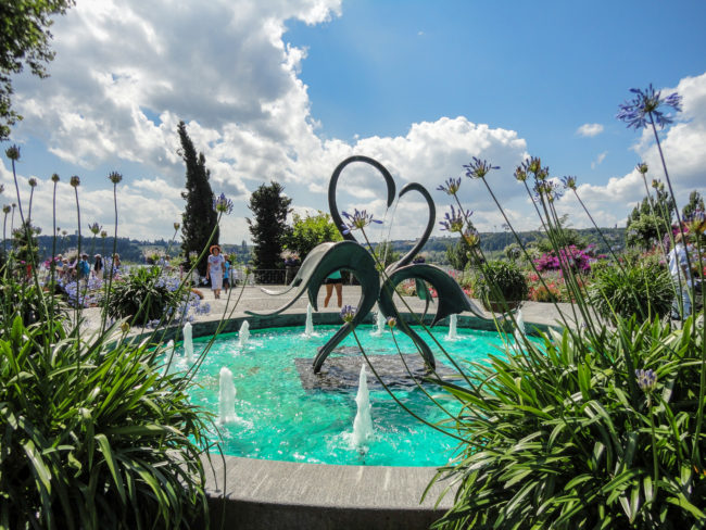 Visit Mainau in Germany | The Solivagant Soul