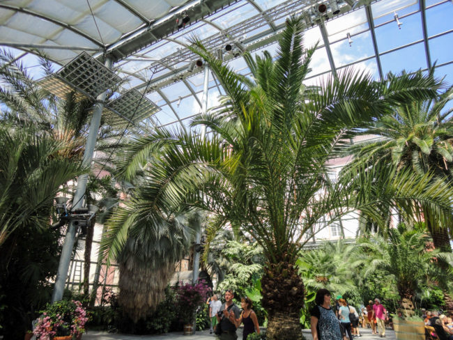 Visit Mainau in Germany | The Solivagant Soul