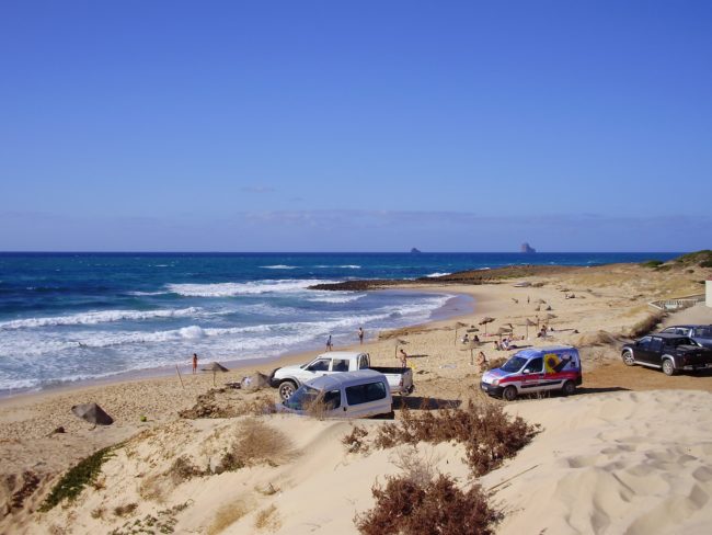 My story in Bizerte, Tunisia, and the Cockroach Rex - The Solivagant Soul