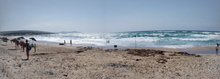 My story in Bizerte, Tunisia, and the Cockroach Rex - The Solivagant Soul