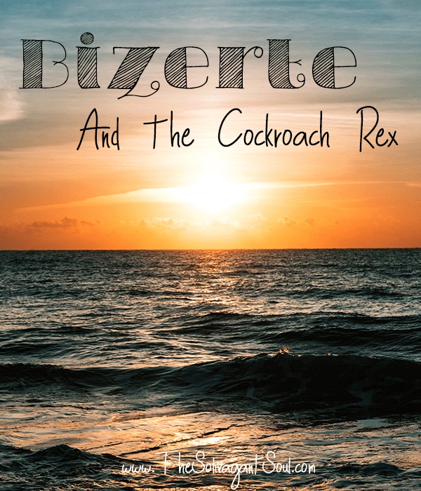 My story in Bizerte, Tunisia, and the Cockroach Rex - The Solivagant Soul