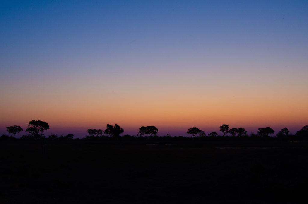 Beautiful African sunset at the Okavango Delta. Colorful sunset photography at the Okavango Delta | #Walpaper | #Africa #Safari #Botswana #Cows #Okavango #OkavangoDelta | The Solivagant Soul