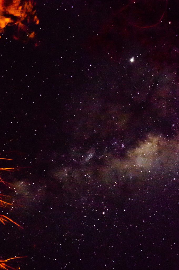 Milky way photography from the Okavango Delta. You can even see Saturn, the brightest star of them all. The branches are red because we were by a bonfire | #Africa #Safari #Botswana #Cows #Okavango #OkavangoDelta | The Solivagant Soul