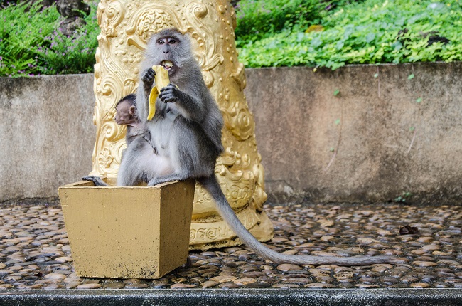 Making friends while traveling or making friends on the road is always a challenge, independently on whether you travel alone or if you travel with more people. Here you have some tips on how to get started on it.|  Solo Travel | Travel Tips | The Solivagant Soul