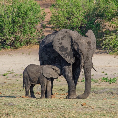 When I decided to book the trip to Explore Southern Africa with Intrepid Travel. The process was very smooth and the travel agent who assisted me was very kind. This is the first post of a series of #traveljournal s to describe my experience during this tour, from booking until I made it back home. | The Solivagant Soul | Solo Travel Blog