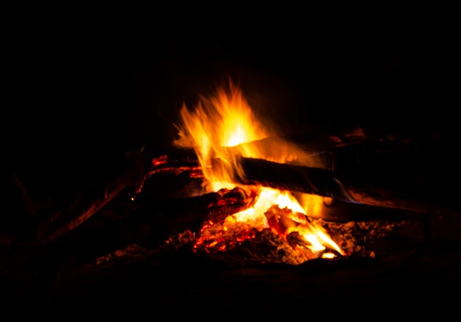 The best travel journal of my discovery of southern africa with Intrepid Travel. On this second entry, we left Johannesburg, drove for 10h across the border between South Africa and Botswana and we made it to Khama Rhino Sanctuary. Once there, we saw white rhinos, giraffes, oryx, zebras and much more | #safari #solosafari #Africa #travelingsolo #beintrepid #Botswana