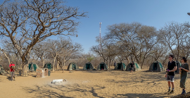 The best travel journal of my discovery of southern africa with Intrepid Travel. On this second entry, we left Johannesburg, drove for 10h across the border between South Africa and Botswana and we made it to Khama Rhino Sanctuary. Once there, we saw white rhinos, giraffes, oryx, zebras and much more | #safari #solosafari #Africa #travelingsolo #beintrepid #Botswana