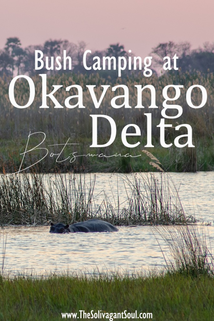 Bush camping at the Okavango Delta, Botswana. Hippos are jumping in and out of the water | #Africa #Safari #Botswana #Cows #Okavango #OkavangoDelta | The Solivagant Soul