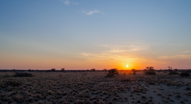 The best travel journal of my discovery of southern africa with Intrepid Travel. On this second entry, we left Johannesburg, drove for 10h across the border between South Africa and Botswana and we made it to Khama Rhino Sanctuary. Once there, we saw white rhinos, giraffes, oryx, zebras and much more | #safari #solosafari #Africa #travelingsolo #beintrepid #Botswana
