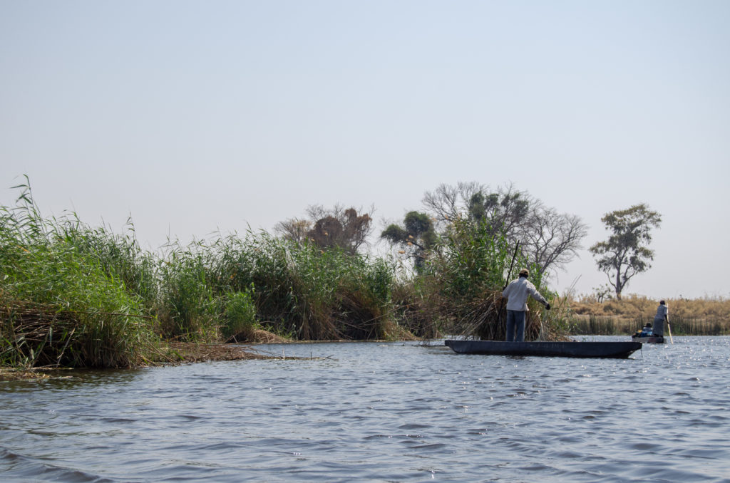 Fisherman at the Okavango river in Botswana, Africa. We saw him while we were traveling in a mokoro to our island to bush camp for a few days | #Africa #Safari #Botswana #Cows #Okavango #OkavangoDelta | The Solivagant Soul