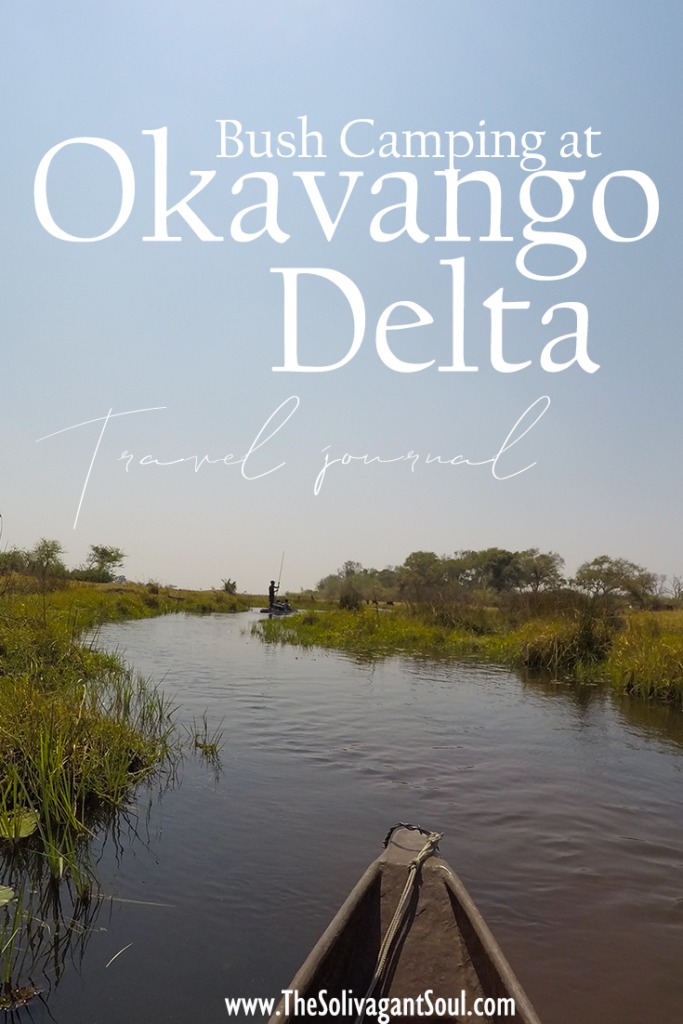 Mokoros at the delta of the Okavango. Relaxingly sailing in a boat to start bush camping in Botswana | #Africa #Safari #Botswana #Cows #Okavango #OkavangoDelta | The Solivagant Soul