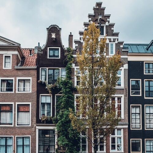 Unexpected things about the Netherlands | Fun and interesting facts about Amsterdam and the Netherlands | #expatlife #netherlands #amsterdam #funfacts #curiosities | The Solivagant Soul