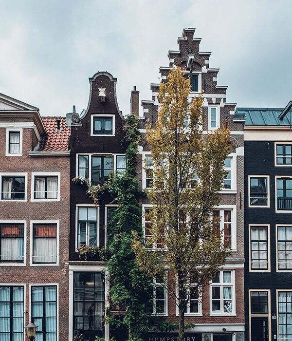 Unexpected things about the Netherlands | Fun and interesting facts about Amsterdam and the Netherlands | #expatlife #netherlands #amsterdam #funfacts #curiosities | The Solivagant Soul