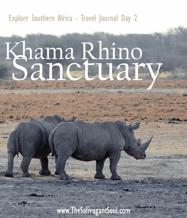 The best travel journal of my discovery of southern africa with Intrepid Travel. On this second entry, we left Johannesburg, drove for 10h across the border between South Africa and Botswana and we made it to Khama Rhino Sanctuary. Once there, we saw white rhinos, giraffes, oryx, zebras and much more | #safari #solosafari #Africa #travelingsolo #beintrepid #Botswana