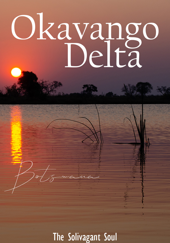 Okavango Delta in Botswana #Safari #Africa #sunset - The Solivagant Soul