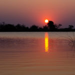 Okavango Delta in Botswana #Safari #Africa #sunset - The Solivagant Soul