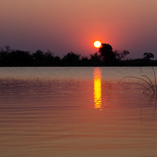 Okavango Delta in Botswana #Safari #Africa #sunset - The Solivagant Soul