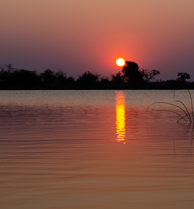 Okavango Delta in Botswana #Safari #Africa #sunset - The Solivagant Soul