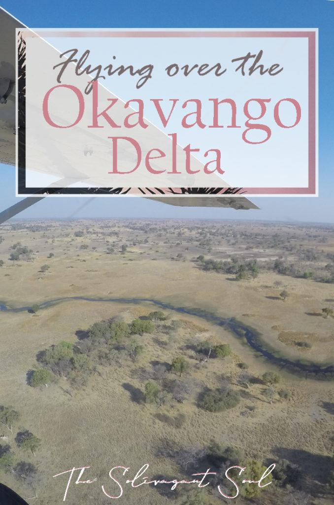 Scenic flight above the Okavango Delta | The Solivagant Soul Travel Blog