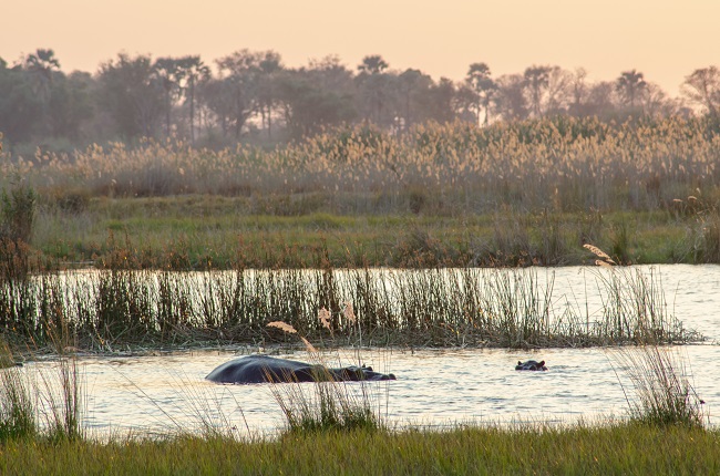Scenic flight above the Okavango Delta | The Solivagant Soul Travel Blog