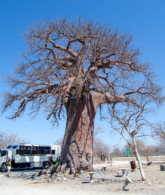 Scenic flight above the Okavango Delta | The Solivagant Soul Travel Blog