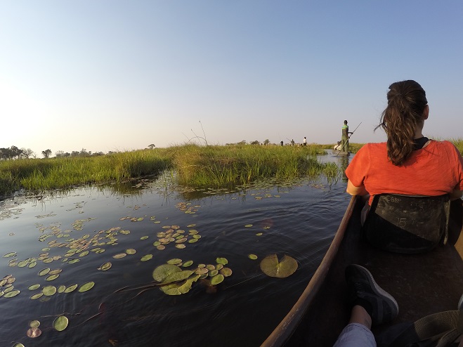 Scenic flight above the Okavango Delta | The Solivagant Soul Travel Blog