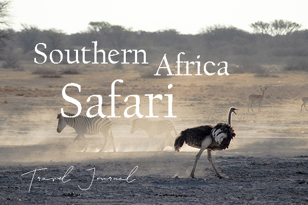 Travel Series The Solivagant Soul - Safari Through Southern Africa