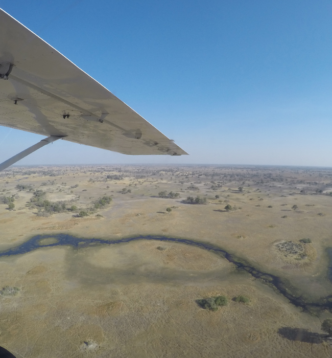 Scenic flight above the Okavango Delta | The Solivagant Soul Travel Blog