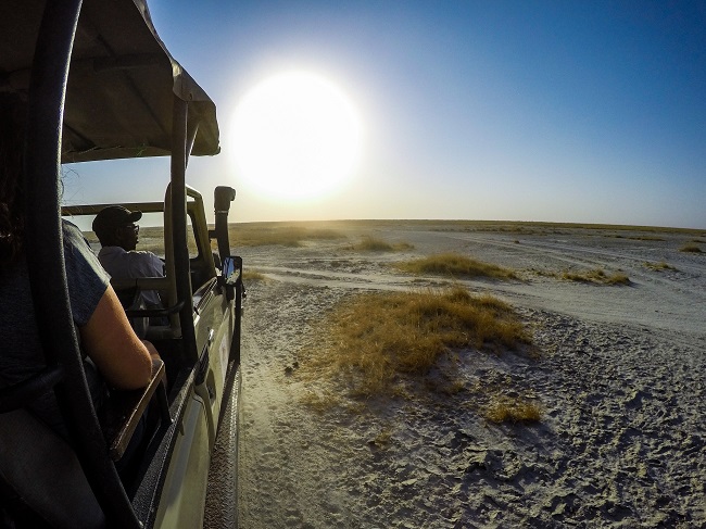 Game drive in Makgadikgadi Salt Pans in Nata, Botswana