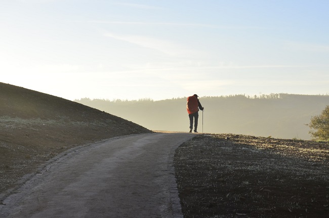 Camino de Santiago de Compostela