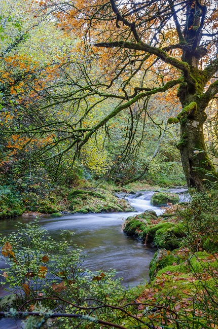 The Ultimate Northern Spain Itinerary starting in Galicia and ending in Pamplona. One week, 10 days or two week itinerararies. | The Solivagant Soul Travel Blog | #spain #galicia #cantabria #castillayleon #navarra #basquecountry #picosdeeuropa #spanishmountains #Rioja #navarra